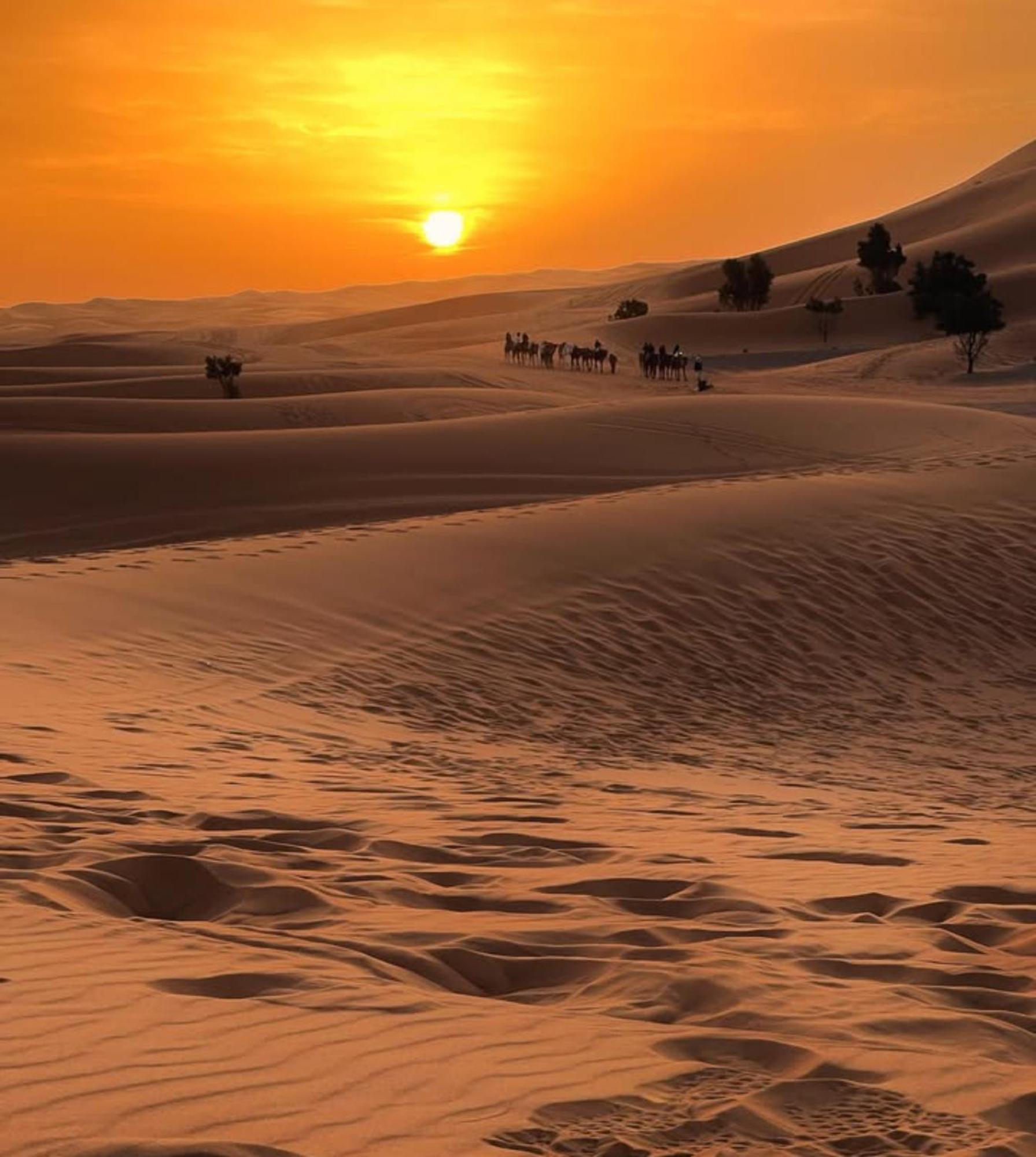 Layali Luxury Desert Camp Мерзуга Екстер'єр фото